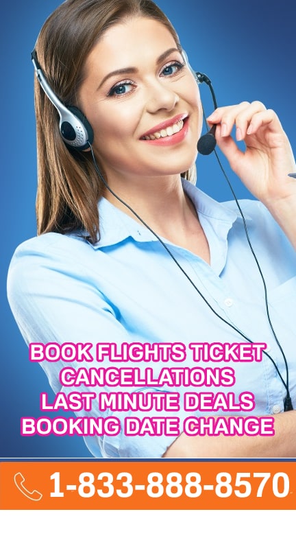 Book Flight Ticket Now